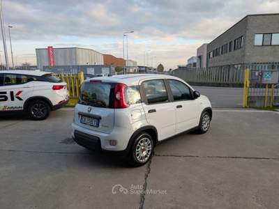 Fiat Panda 1.0 FireFly S&S Hybrid 70CV - OK NEOPATENTATI Bianco usata Cremosano