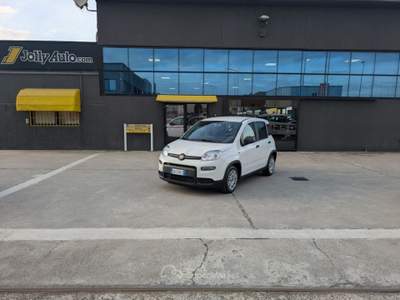 Fiat Panda 1.0 FireFly S&S Hybrid 70CV - OK NEOPATENTATI Bianco usata Cremosano