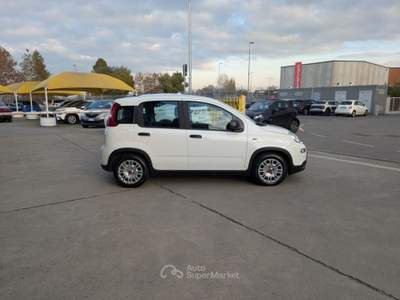 Fiat Panda 1.0 FireFly S&S Hybrid 70CV - OK NEOPATENTATI Bianco usata Cremosano
