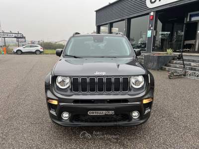 Jeep Renegade Renegade 1.6 Mjt DDCT 120CV Business IVA DEDUCIBILE Grigio usata Cerea