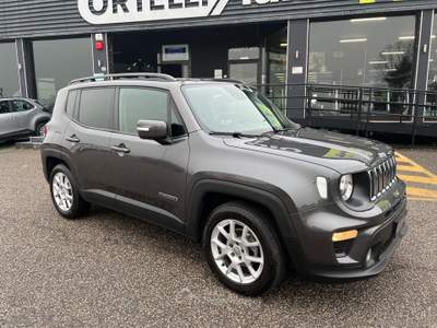 Jeep Renegade Renegade 1.6 Mjt DDCT 120CV Business IVA DEDUCIBILE Grigio usata Cerea