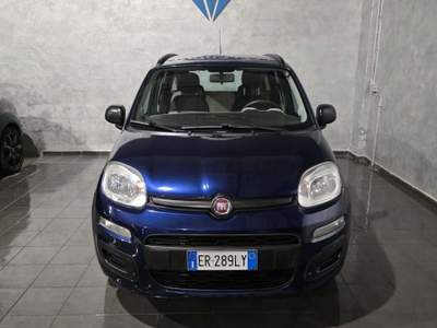 Fiat Panda Panda 1.2 Blu/Azzurro usata Cornaredo