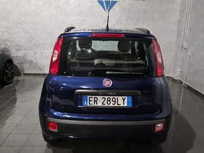 Fiat Panda Panda 1.2 Blu/Azzurro usata Cornaredo