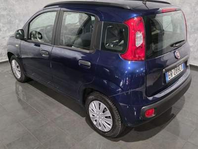 Fiat Panda Panda 1.2 Blu/Azzurro usata Cornaredo