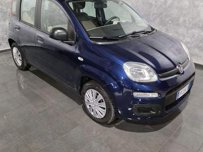 Fiat Panda Panda 1.2 Blu/Azzurro usata Cornaredo