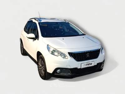 Peugeot 2008 Active Bianco usata Pisa