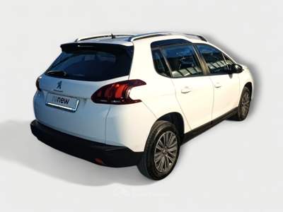 Peugeot 2008 Active Bianco usata Pisa