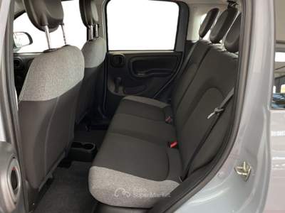 Fiat Panda III 2021 1.0 firefly hybrid City Life s&s 70cv 5p.ti Grigio usata Torino