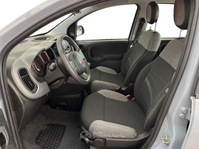 Fiat Panda III 2021 1.0 firefly hybrid City Life s&s 70cv 5p.ti Grigio usata Torino