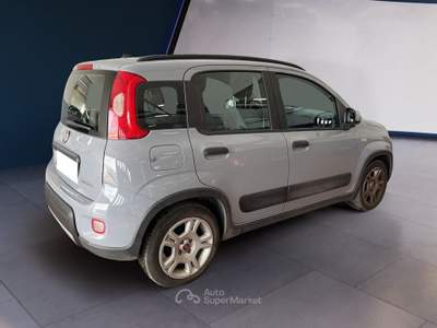 Fiat Panda III 2021 1.0 firefly hybrid City Life s&s 70cv 5p.ti Grigio usata Torino