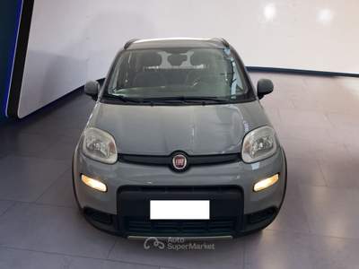 Fiat Panda III 2021 1.0 firefly hybrid City Life s&s 70cv 5p.ti Grigio usata Torino
