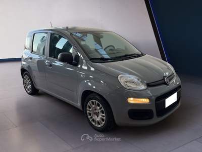 Fiat Panda III 2021 1.0 firefly hybrid s&s 70cv 5p.ti Grigio usata Torino