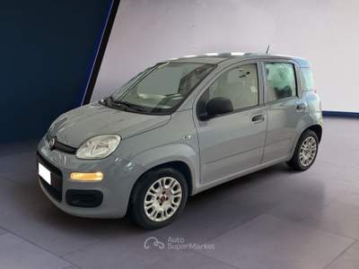 Fiat Panda III 2021 1.0 firefly hybrid s&s 70cv 5p.ti Grigio usata Torino