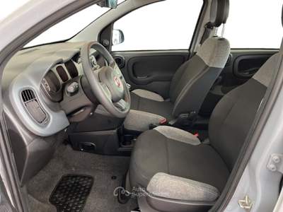 Fiat Panda III 2021 1.0 firefly hybrid s&s 70cv 5p.ti Grigio usata Torino