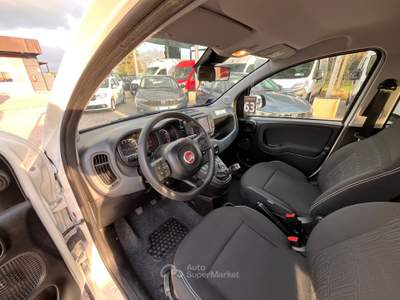 Fiat Panda HYBRID  VERSIONE CROSS - NEOPATENTATI Bianco usata Latina