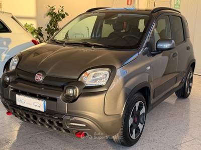 Fiat Panda Panda 1.0 firefly hybrid City Cross s&amp;s 70cv 5p.ti Grigio usata San Pietro in Gu