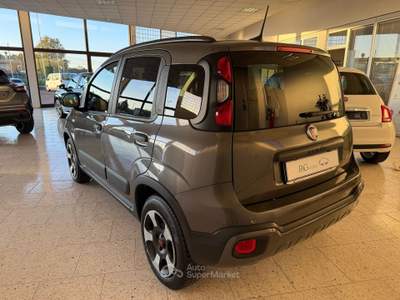 Fiat Panda Panda 1.0 firefly hybrid City Cross s&amp;s 70cv 5p.ti Grigio usata San Pietro in Gu