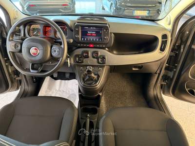 Fiat Panda Panda 1.0 firefly hybrid City Cross s&amp;s 70cv 5p.ti Grigio usata San Pietro in Gu