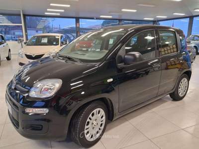 Fiat Panda 1.0 FireFly S&S Hybrid Nero usata Sirolo