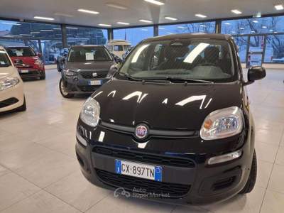 Fiat Panda 1.0 FireFly S&S Hybrid Nero usata Sirolo