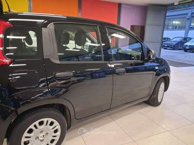 Fiat Panda 1.0 FireFly S&S Hybrid Nero usata Sirolo