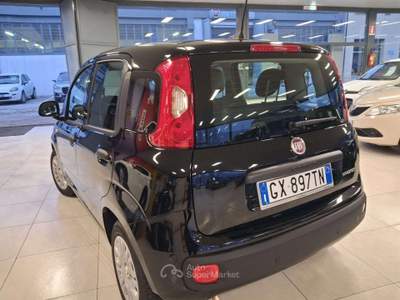 Fiat Panda 1.0 FireFly S&S Hybrid Nero usata Sirolo