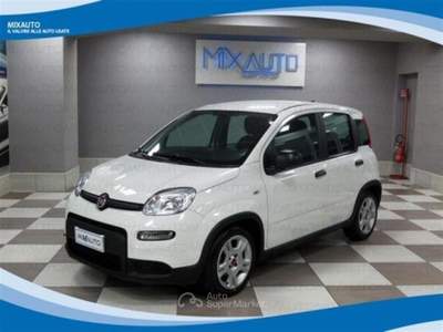 Fiat Panda Hybrid 1.0 FireFly 70cv EU6 Bianco usata Latina