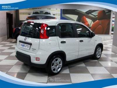Fiat Panda Hybrid 1.0 FireFly 70cv EU6 Bianco usata Latina