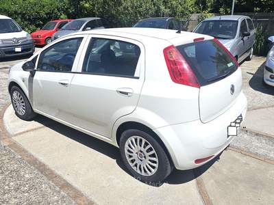 Fiat Punto 1.3 MJT 95 CV EURO KM 132000 GARANZIA 12 MESI PERMUTE Bianco usata Mercato San Severino