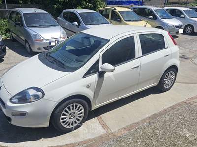 Fiat Punto 1.3 MJT 95 CV EURO KM 132000 GARANZIA 12 MESI PERMUTE Bianco usata Mercato San Severino