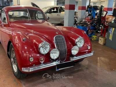 Jaguar XK 120 usata Roma