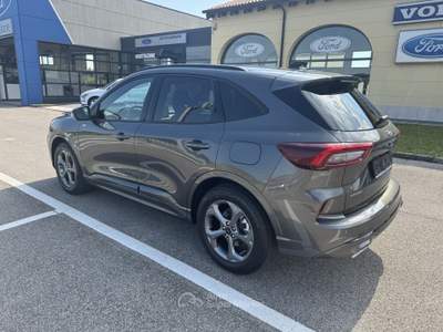 Ford Kuga St-Line 2.5 Full-Hybrid 180CV 2WD S&S - NUOVA Grigio usata Crocetta del Montello