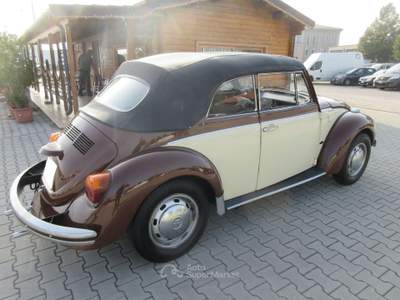 Volkswagen Maggiolino 44cv Marrone usata Medolla