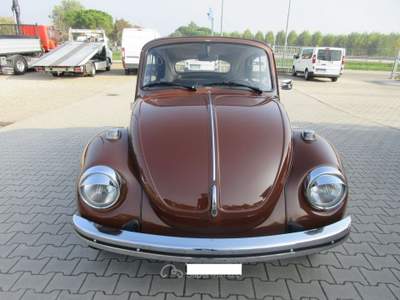 Volkswagen Maggiolino 44cv Marrone usata Medolla