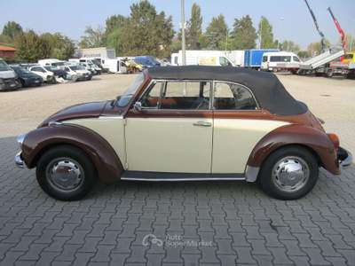 Volkswagen Maggiolino 44cv Marrone usata Medolla