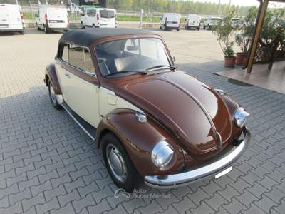 Volkswagen Maggiolino 44cv Marrone usata Medolla