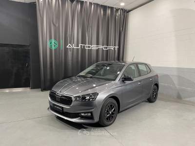 Skoda Fabia Fabia 1.0 TSI 95 CV Young Edition Grigio usata Leini