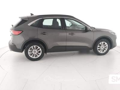 Ford Kuga EcoBlue 120CV 2WD Titanium Bus. Grigio usata GIOIA TAURO