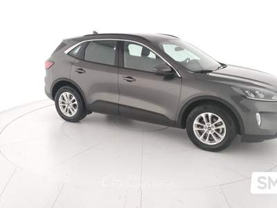 Ford Kuga EcoBlue 120CV 2WD Titanium Bus. Grigio usata GIOIA TAURO
