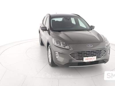 Ford Kuga EcoBlue 120CV 2WD Titanium Bus. Grigio usata GIOIA TAURO