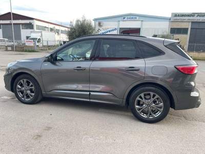 Ford Kuga 2.0 EcoBl. 120CV aut. 2WD ST-Line X Grigio usata Follonica