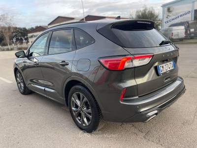 Ford Kuga 2.0 EcoBl. 120CV aut. 2WD ST-Line X Grigio usata Follonica
