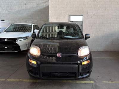 Fiat Panda New Panda 1.0 FireFly S&S Hybrid Bianco usata San Lazzaro di Savena