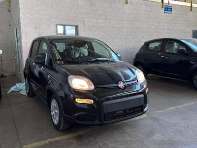 Fiat Panda New Panda 1.0 FireFly S&S Hybrid Bianco usata San Lazzaro di Savena