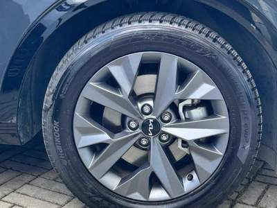 Kia Sportage 1.6 TGDi HEV AT GT-line Nero usata San Lazzaro di Savena