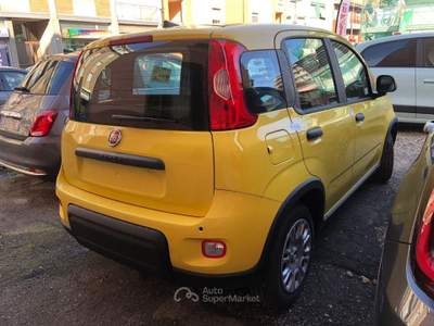 Fiat Pandina 1.0 FireFly 65cv S&S 6m Hybrid Pop Giallo usata Novara