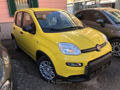Fiat Pandina 1.0 FireFly 65cv S&S 6m Hybrid Pop Giallo usata Novara