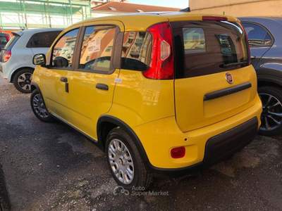 Fiat Pandina 1.0 FireFly 65cv S&S 6m Hybrid Pop Giallo usata Novara
