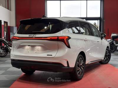 Evo 3 Electric Evo Spazio 1.5 turbo Gpl 167cv dct Garanzia 5 Anni Bianco usata Cornate D'adda