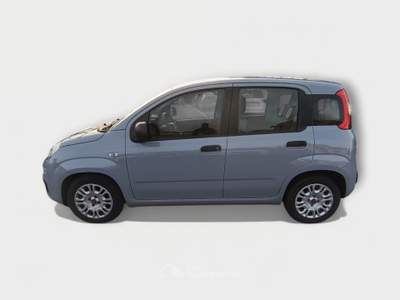 Fiat Panda FireFly Hybrid 70cv S&S Grigio usata Pisa